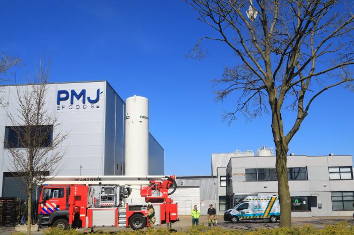 Voorbijgangers vinden dode zwaan in boom