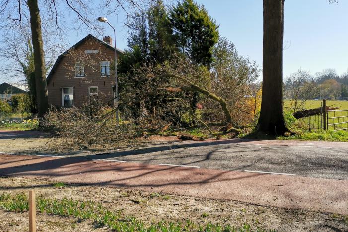 Afgebroken takken verspert weg