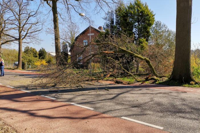 Afgebroken takken verspert weg