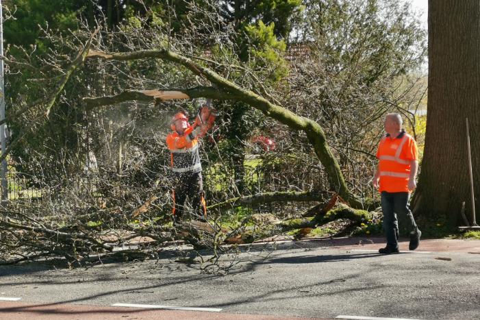 Afgebroken takken verspert weg