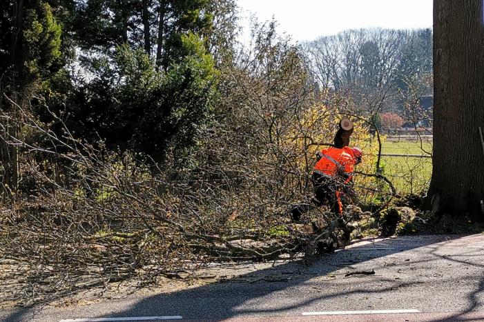 Afgebroken takken verspert weg