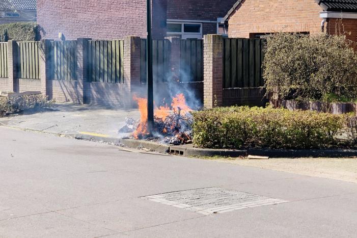Dozen en struikgewas in brand gevlogen