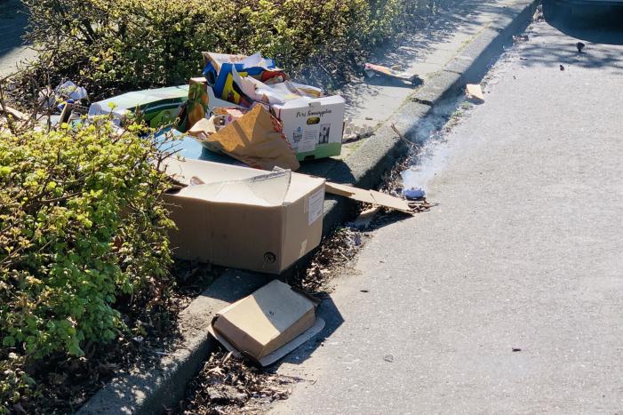 Dozen en struikgewas in brand gevlogen