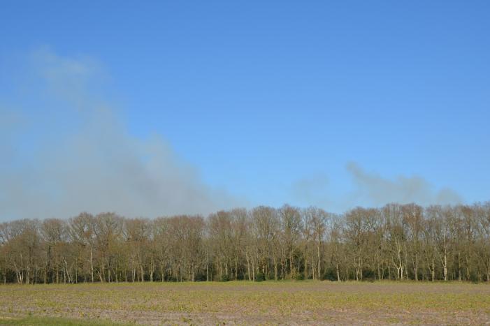 Groot stuk natuur in brand
