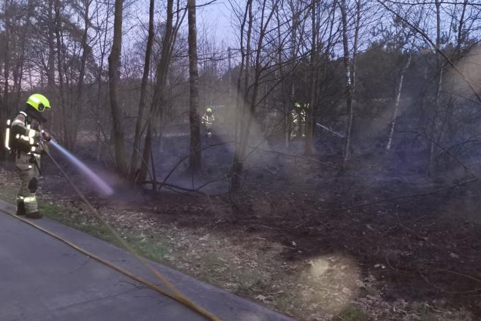 Groot stuk bosschage langs spoor in brand