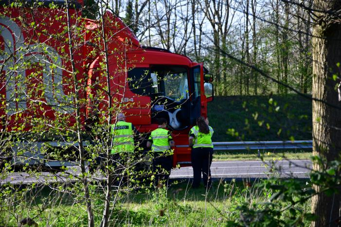 Zwaan vliegt dwars door voorruit vrachtwagen