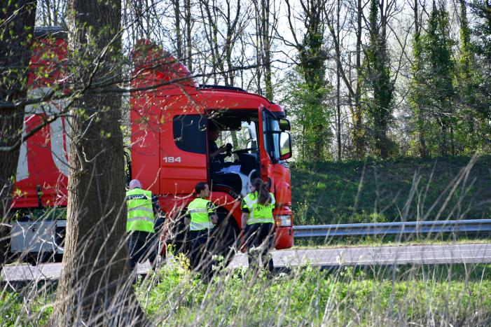 Zwaan vliegt dwars door voorruit vrachtwagen