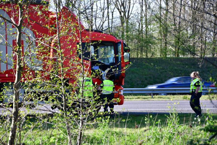 Zwaan vliegt dwars door voorruit vrachtwagen