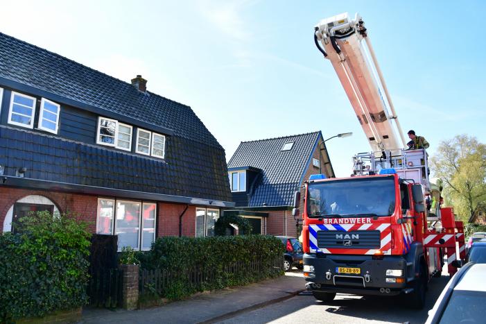 Spreeuw vast onder dakpannen