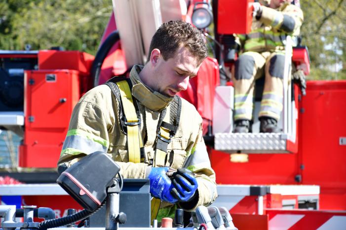 Spreeuw vast onder dakpannen