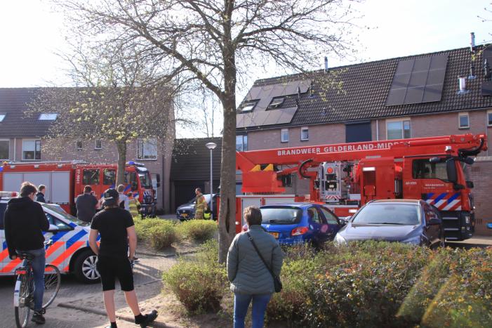 Wespennest wegbranden zorgde voor dakbrand