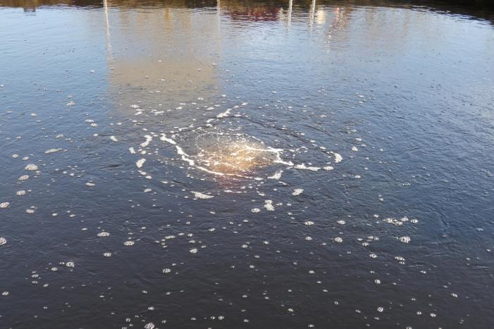 Luchtbellen in de haven zorgen voor paniek