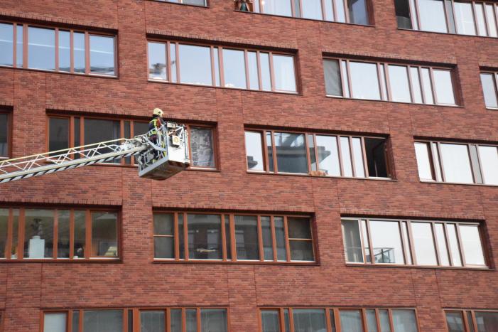 Kat ligt te chillen en loopt naar binnen bij aankomst van de brandweer