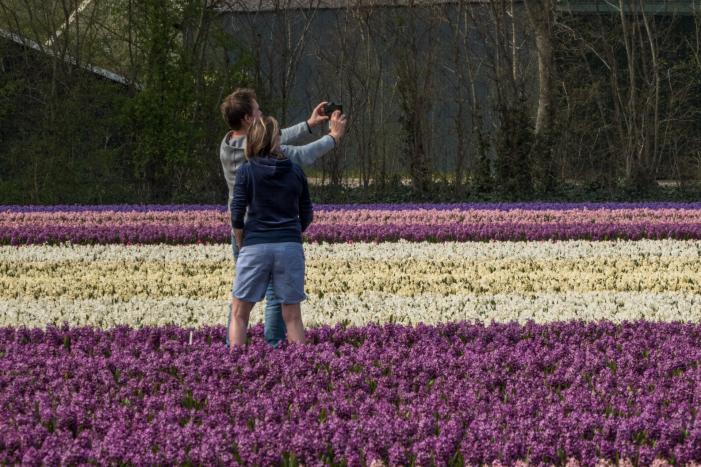 Poseren tussen de bloemen, burgemeester is boos