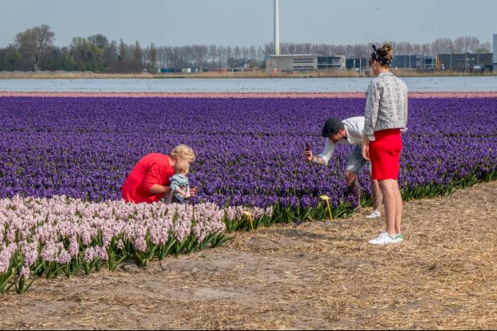 Poseren tussen de bloemen, burgemeester is boos