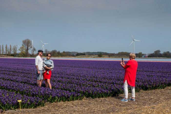 Poseren tussen de bloemen, burgemeester is boos