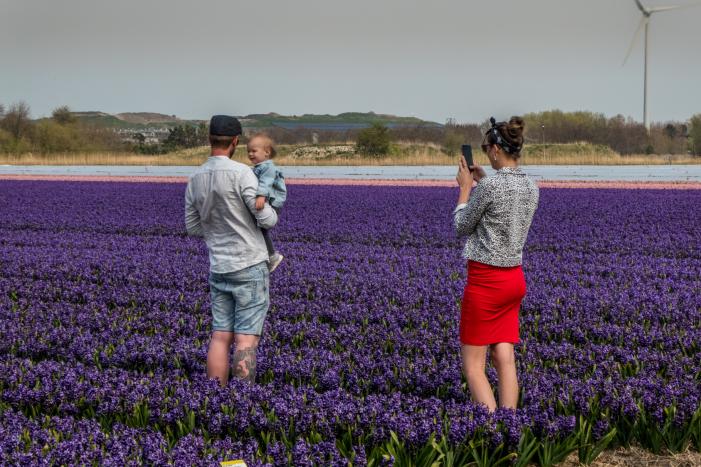 Poseren tussen de bloemen, burgemeester is boos