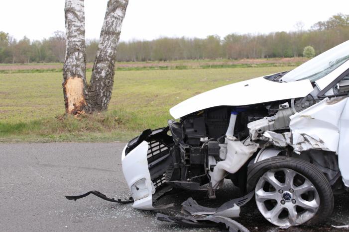 Automobilist botst tegen boom