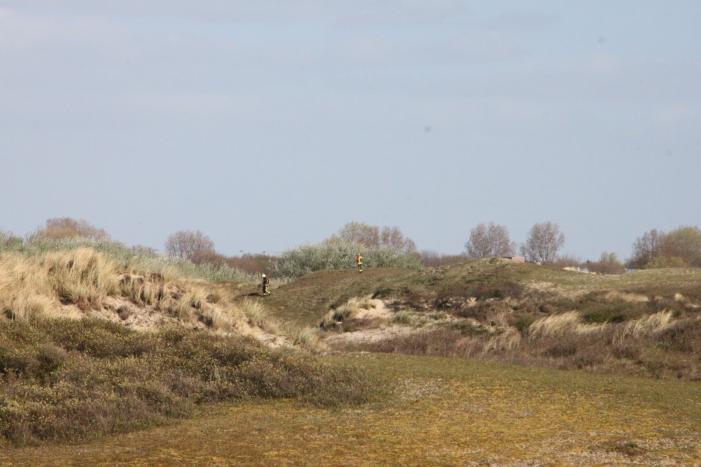 Flinke inzet bij duinbrand