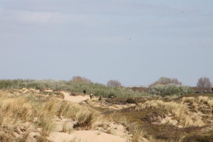 Flinke inzet bij duinbrand