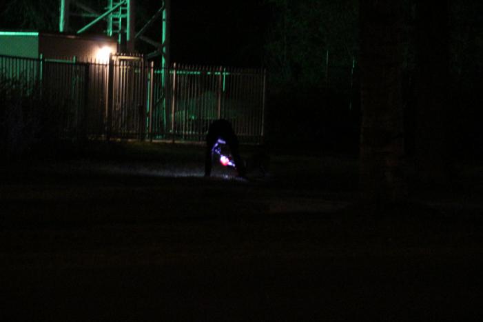 5G zendmast in brand gestoken