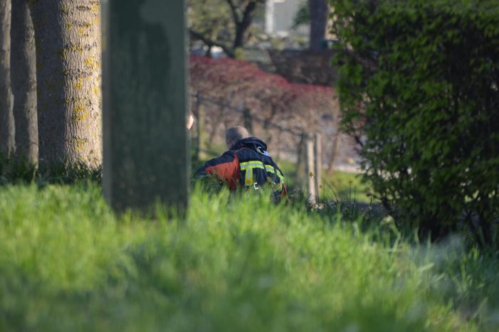 Automobiliste (54) komt om het leven bij ongeval