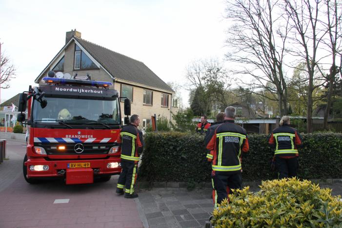 Brand in bos vermoedelijk aangestoken