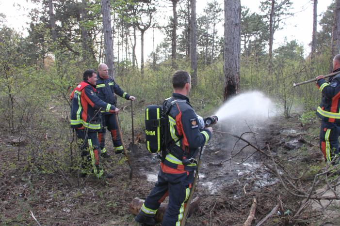 Brand in bos vermoedelijk aangestoken