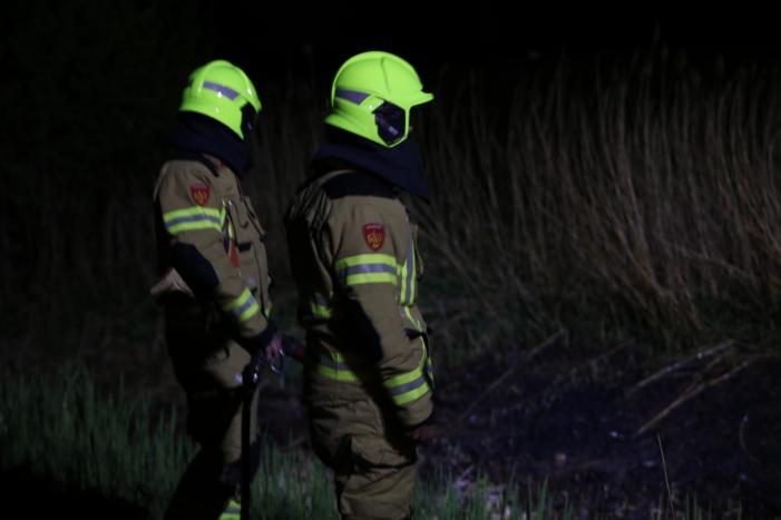 Rietkraag langs het spoor in brand