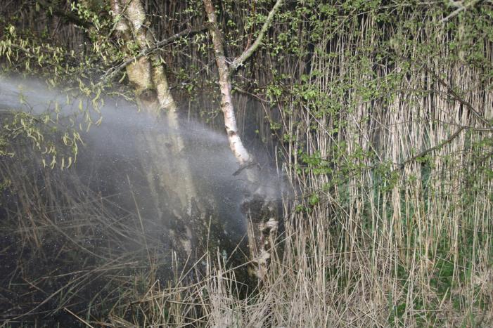 Rietkraag langs het spoor in brand