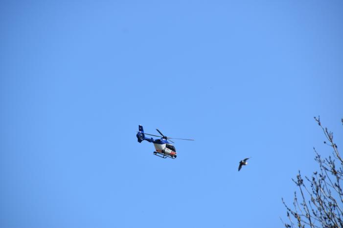 Grote zoekactie naar vermist 6-jarig meisje Gouwebos