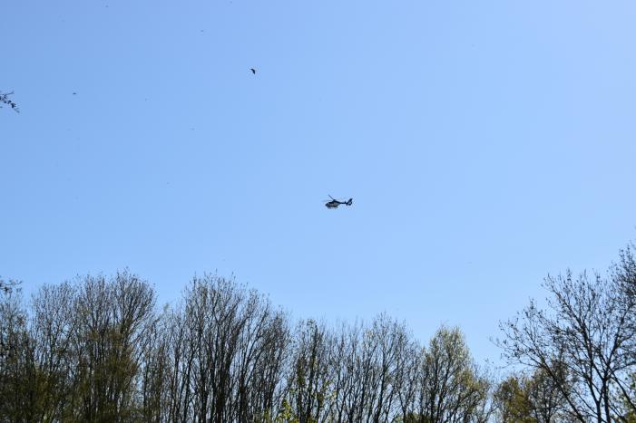 Grote zoekactie naar vermist 6-jarig meisje Gouwebos