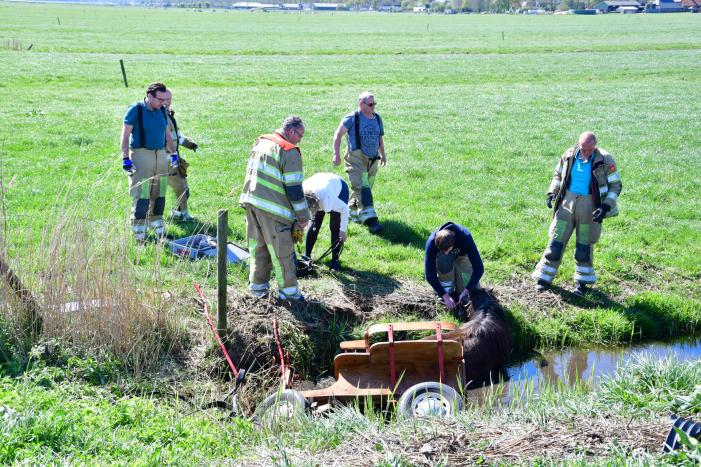 Brandweer redt pony met kar uit sloot