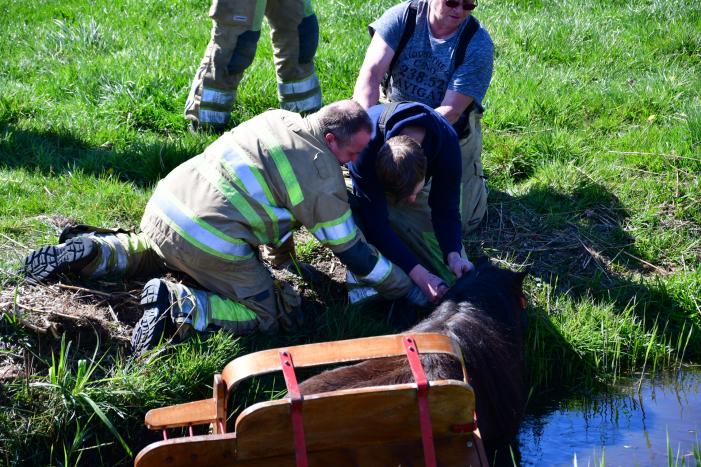 Brandweer redt pony met kar uit sloot