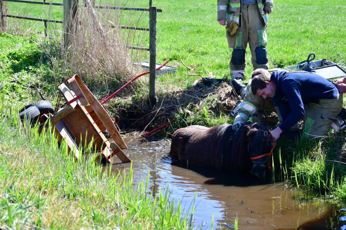 Brandweer redt pony met kar uit sloot