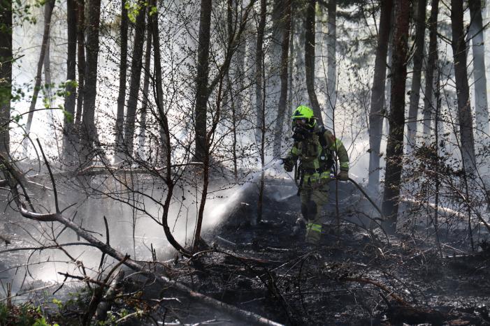 Stuk bosgebied afgebrand