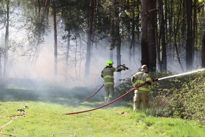 Stuk bosgebied afgebrand