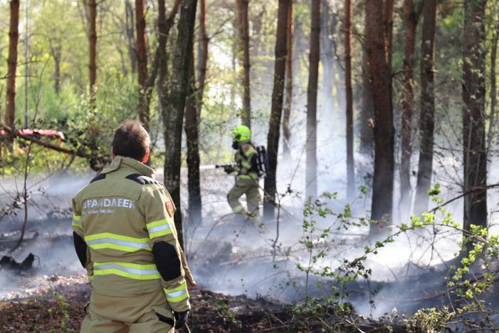 Stuk bosgebied afgebrand