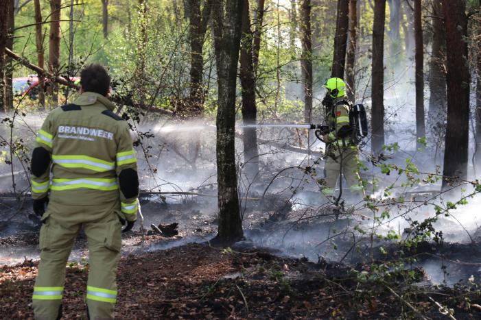 Stuk bosgebied afgebrand