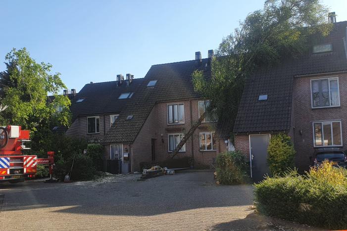 Boom omgevallen op woning