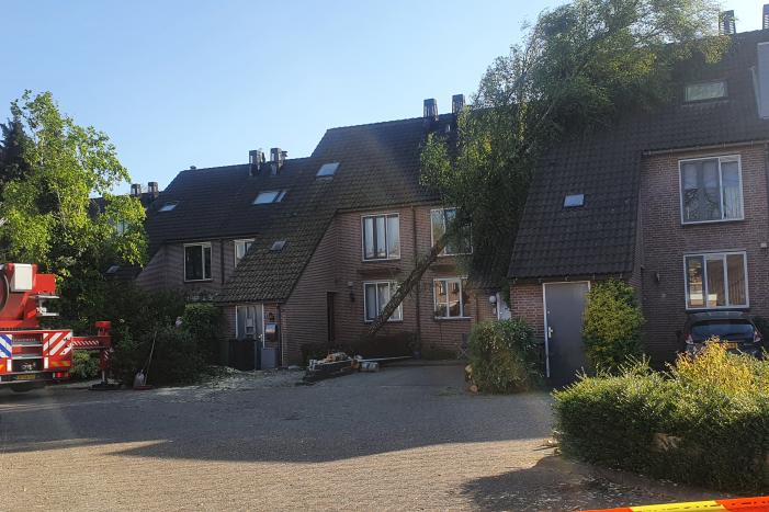 Boom omgevallen op woning