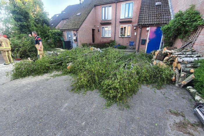 Boom omgevallen op woning