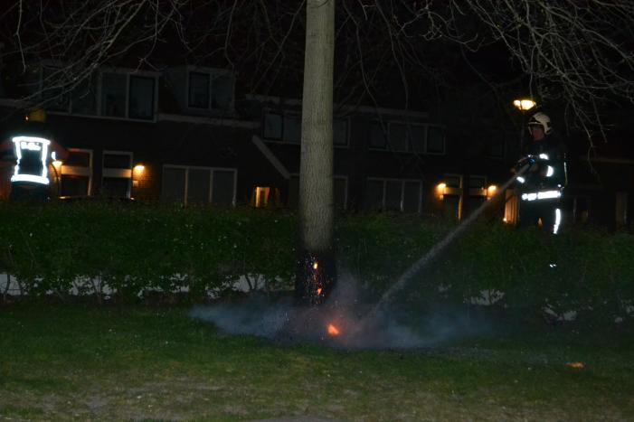 Brandende boom snel geblust