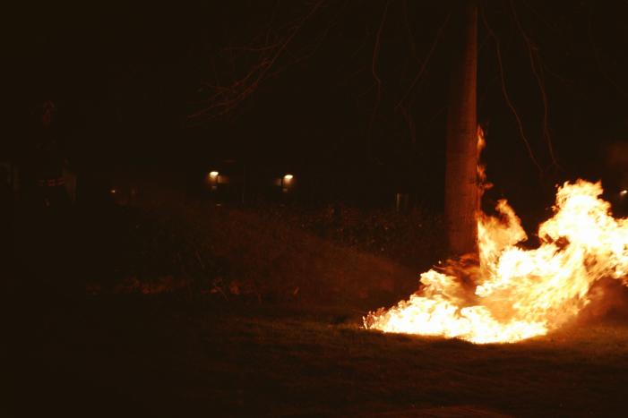 Brandende boom snel geblust