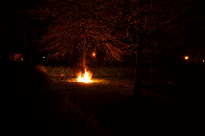 Brandende boom snel geblust