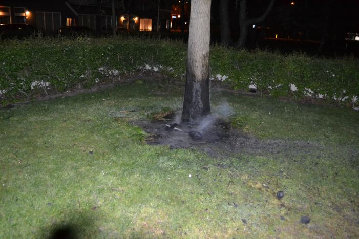 Brandende boom snel geblust