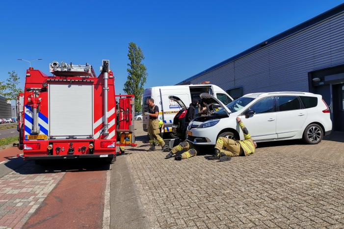 Kat vast in motorcompartiment van auto