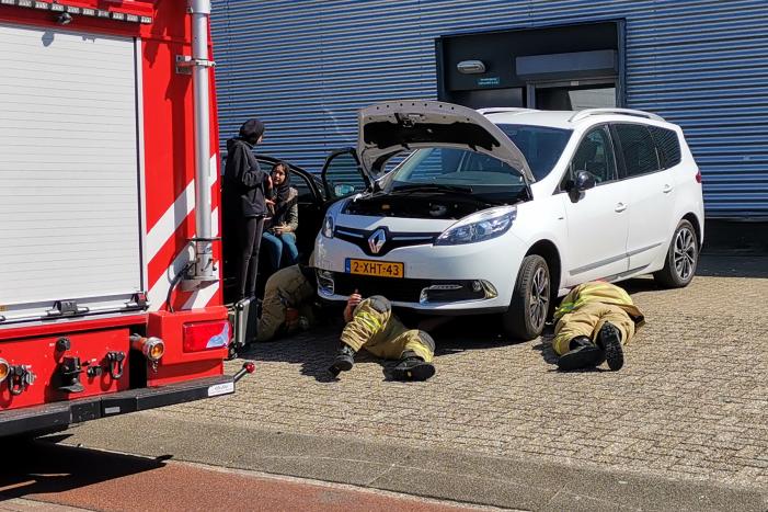 Kat vast in motorcompartiment van auto