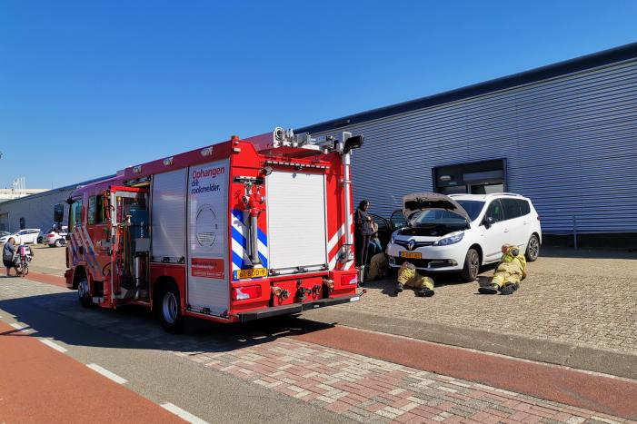 Kat vast in motorcompartiment van auto