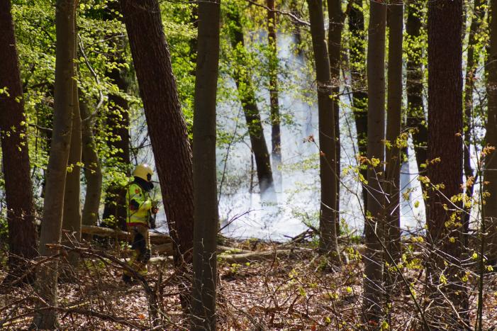Brand in bosgebied